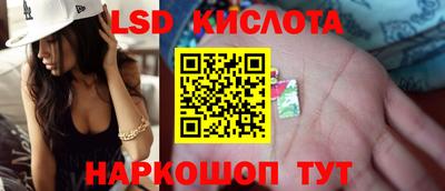 сатива Вышний Волочёк