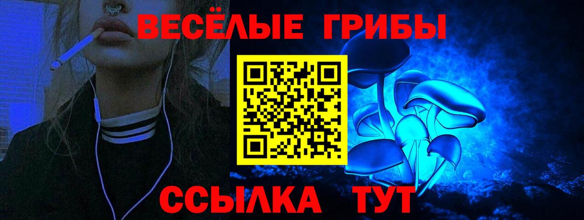 Кизилюрт  Псилоцибиновые грибы Magic Shrooms  Галлюциногенные грибы Cubensis  Вход с VPN 